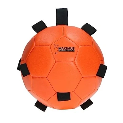 Image of Maximus Fun Play Ball