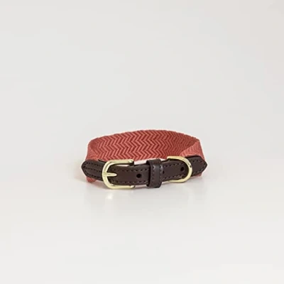 Image of Kentucky Dog collar Jacquard