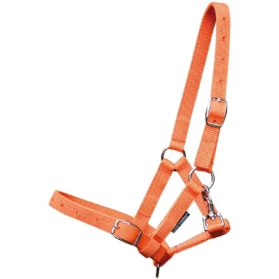Image of Harry&#039;s Horse Foal Headcollar