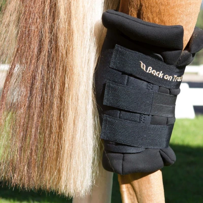 Image of Back on Track Royal Heel Protector