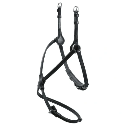 Image of Schockemöhle Figure eight cavesson Rio Select