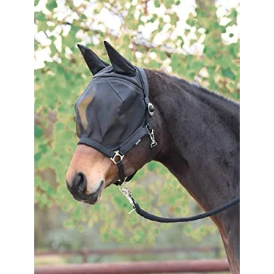 Image of Busse Fly Halter Fast
