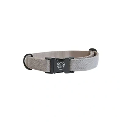 Image of Kentucky Dog Collar Lizard