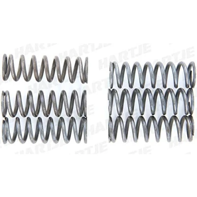 Image of Clutch Spring Set TRW MEF137 6