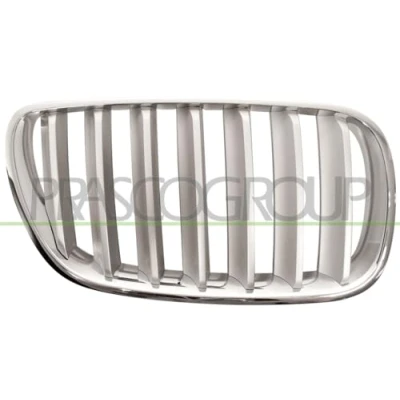 Image of Radiator Grille BLIC 6502 07 00939940P