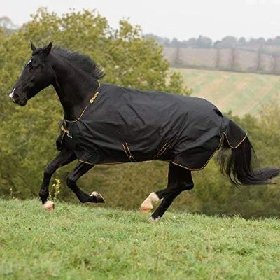 Image of Bucas Irish Turnout Light Big Neck