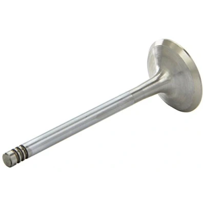 Image of Intake Valve AE V94551