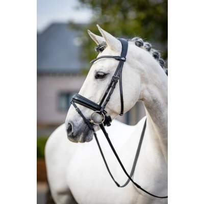 Image of LeMieux Classic Dressage bridle
