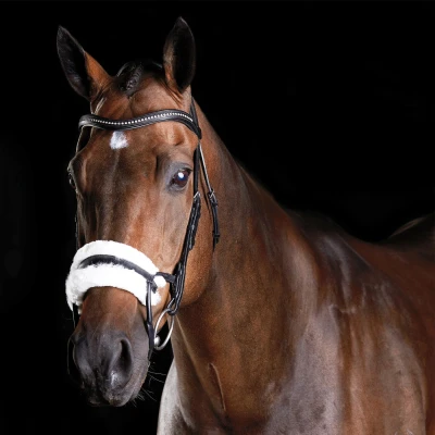 Image of Collegiate ComFiTec Sheepskin Bridle