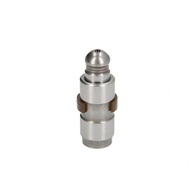 Image of Tappet INA 420 0224 10