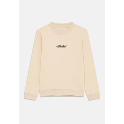 Image of Jack &amp; Jones Junior Jjesoho CREW NECK Sweatshirt for kids, Size: 7y, Moonbeam