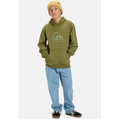 Image of Quiksilver COMP LOGO Hoodie Youth Unisex Hoodie, Size: 10y, Loden green