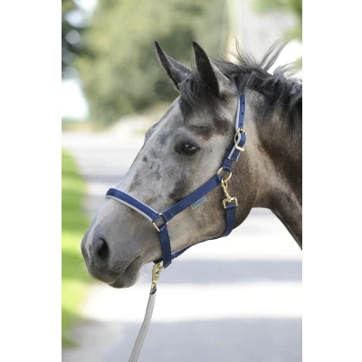 Image of Bucas Dublin Halter Navy / Silver