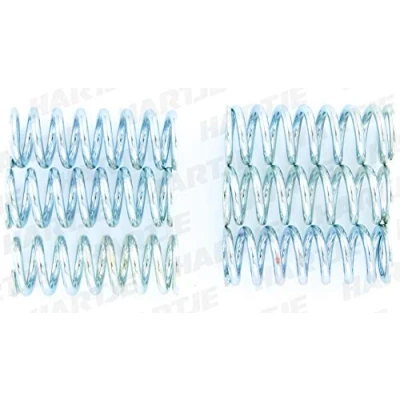 Image of Clutch Spring Set TRW MEF145 6