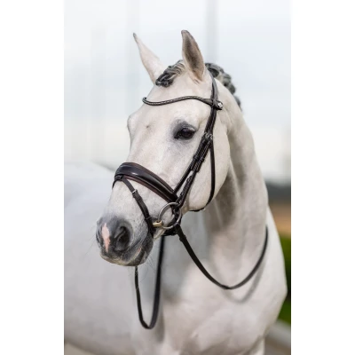 Image of LeMieux Classic Dressage bridle