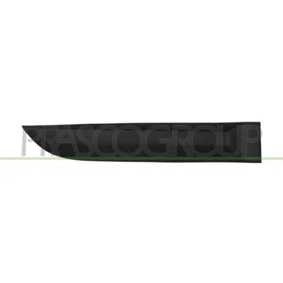 Image of Trim/Protection Strip, door PRASCO RN4241453