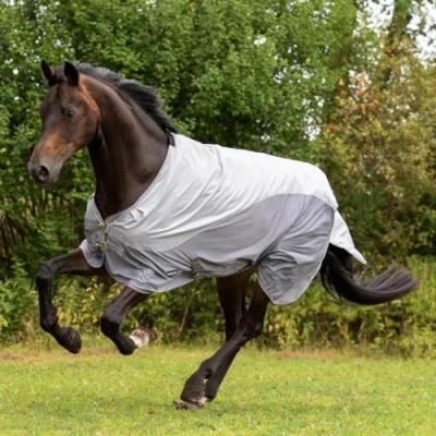 Image of Busse Paddock rug Rainfly