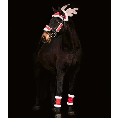 Image of Waldhausen Christmas set for horses