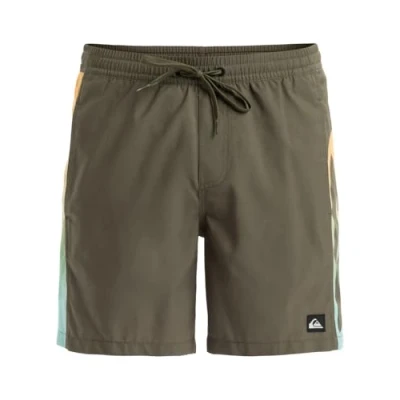 Image of Quiksilver Men&#039;s Board Shorts, Grape Leaf Holmes, L