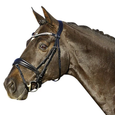 Image of Euroriding La Rochelle bridle with Swedish noseband
