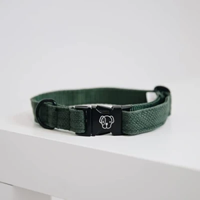 Image of Kentucky Dog Collar Lizard