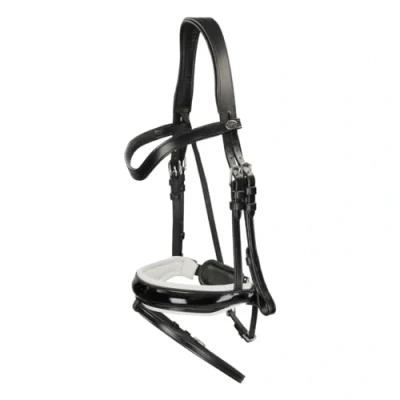 Image of Dyon Snaffle bridle white padded