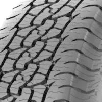 Image of Trail Terrain T/A