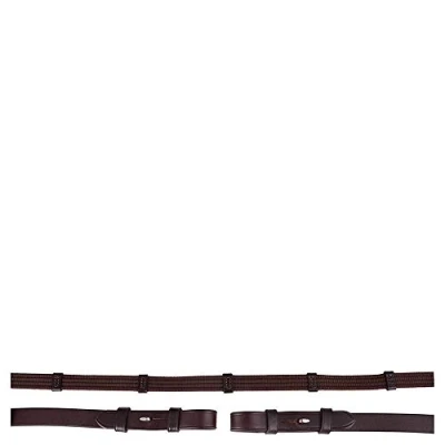 Image of BR Web Reins