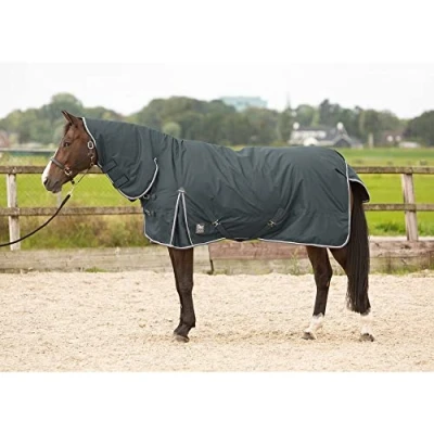 Image of Harry&#039;s Horse Outdoorrug with neck Thor 200