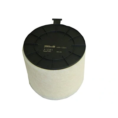 Image of Air Filter PURFLUX A1281