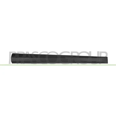 Image of Trim/Protection Strip, door PRASCO RN4241414