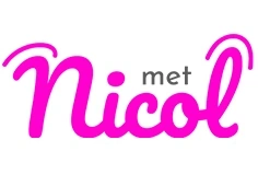 MetNicol logo