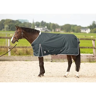 Image of Harry&#039;s Horse Outdoorrug Thor 100