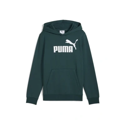 Image of Puma LOGO Hoodie for kids, Size: 8y(7 8y), Green terrain