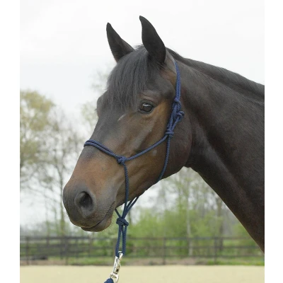 Image of Busse Rope halter Standard