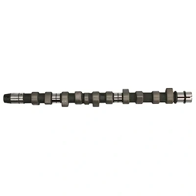 Image of Camshaft INA 428 0065 10