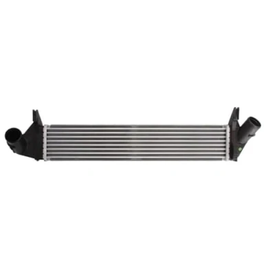 Image of Intercooler, charger THERMOTEC DAR005TT