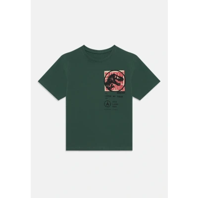 Image of Name it Nkmjust Jurassic Print Tshirt for kids, Size: 9 10y, Garden topiary