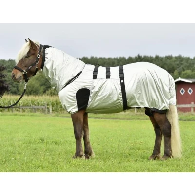 Image of Busse Eczema Rug Strong