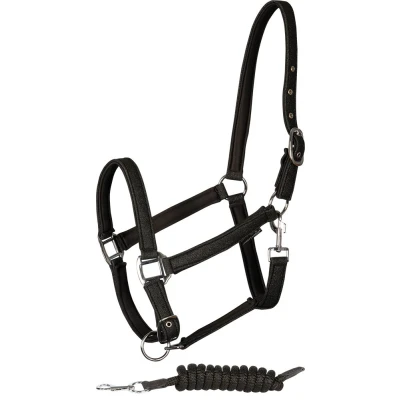 Image of Harry&#039;s Horse Headcollar Set Glitter