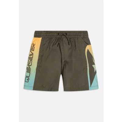 Image of Quiksilver Everyday Holmes Volley Swimming shorts for kids, Size: 16t, Khaki