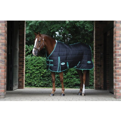 Image of Weatherbeeta Green Tec Stable Standard Neck Medium/Lite 110g Black/Bottle
