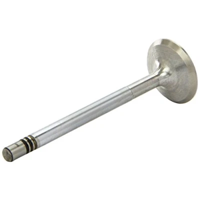 Image of Intake Valve AE V94064