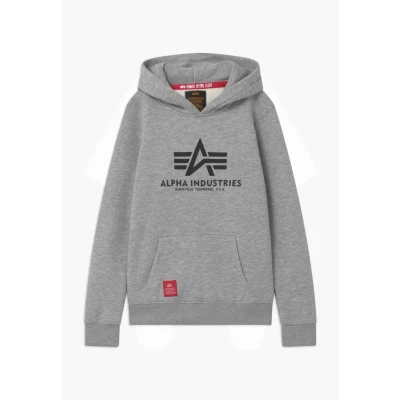 Image of Alpha Industries Hoodie for kids, Size: 8y, Grey