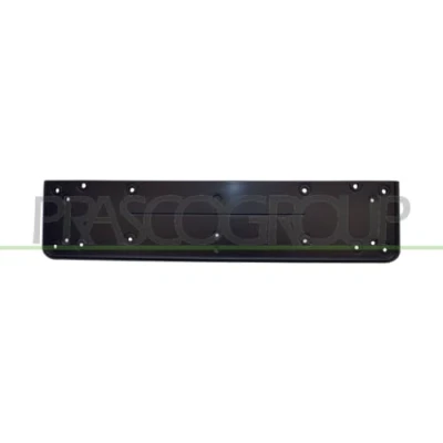 Image of Licence Plate Holder BLIC 6509 01 0066920P