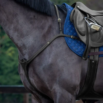 Image of Dyon Breastplate long bridge