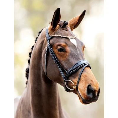 Image of HB Showtime Bridle Rose gold