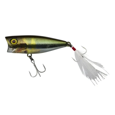 Image of Illex SK Pop Popper Surface lure RT Waka Ayu 5.3cm (6.5g) Topwater
