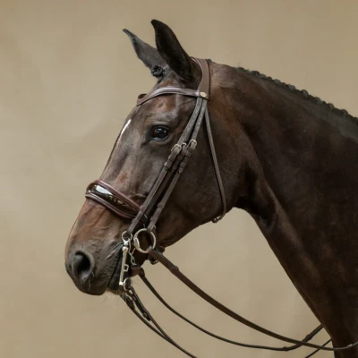 Image of Dyon Double bridle with wide patent leather noseband