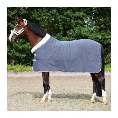 Image of Cavalcade Showrug Elegance